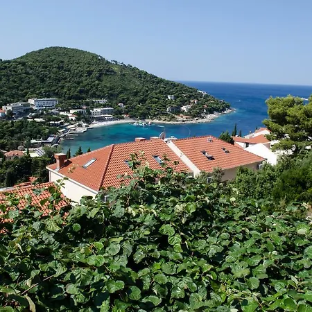 Maslac * Dubrovnik